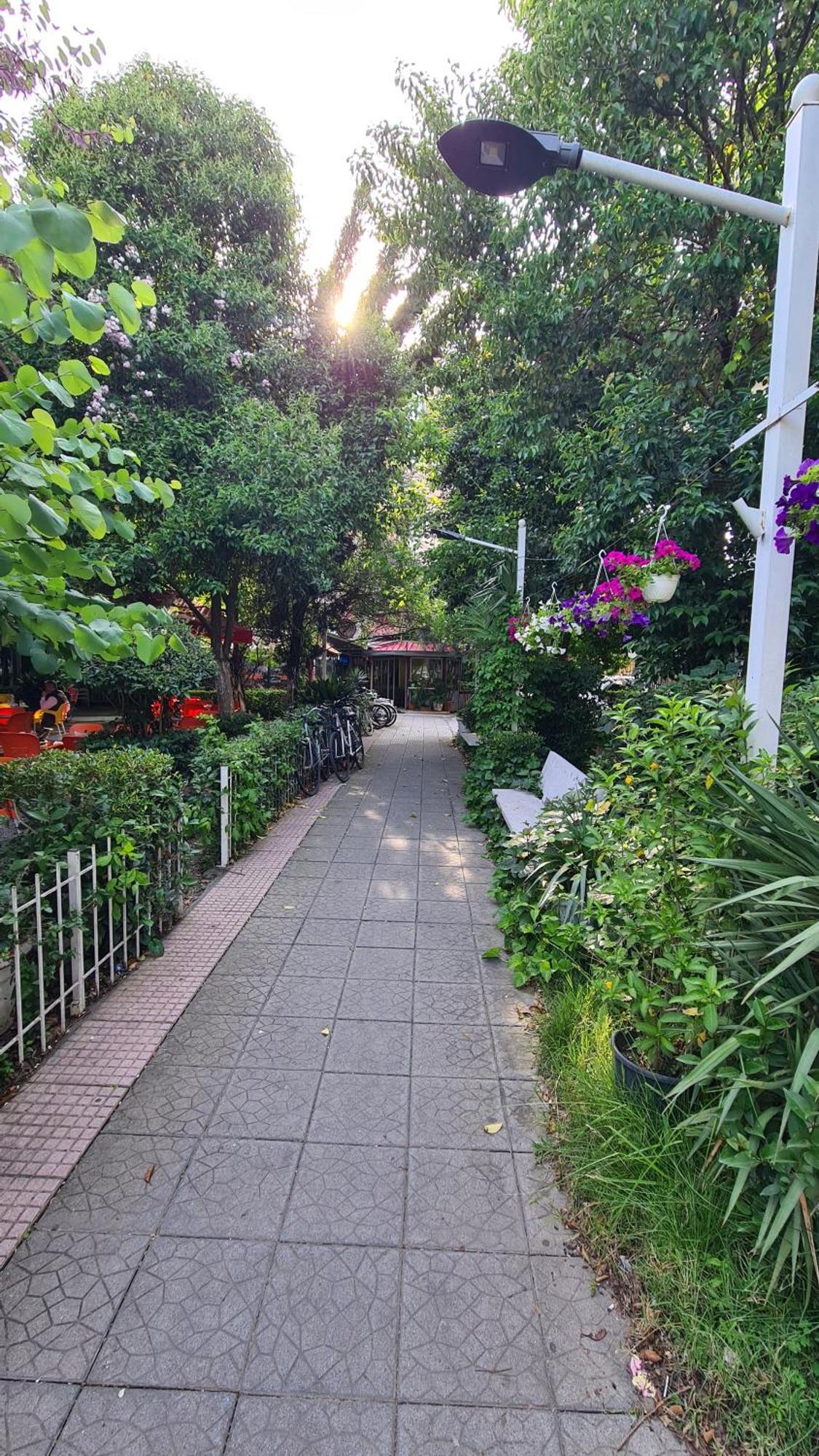 Dei Cozy Apartment شكودر المظهر الخارجي الصورة